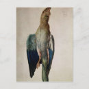 Search for durer postcards Bird