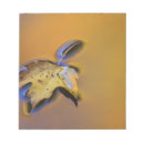 Search for floating leaf Blue