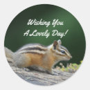 Search for log on Cute