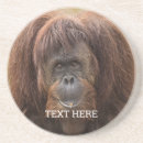 Search for apes barware Monkey