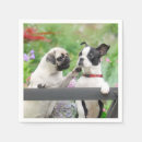 Search for dog napkins Pug