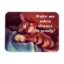 Search for magent magnets Cute