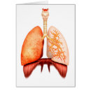 Search for larynx Trachea