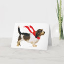 Search for griffon cards Dogs