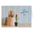Search for cocker spaniel birthday cards Funny