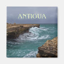 Search for antigua magnets Tropical