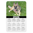 Search for rescue dogs rectangular magnets Animal