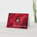 Search for macro rose cards Petals