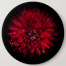Search for macro flower badges Flowers