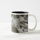 Search for haiti coffee mugs Earthquake