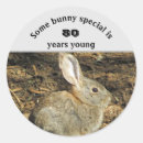 Search for small rabbit stickers Animal lover