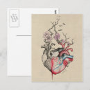 Search for anatomical heart postcards Vintage