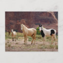 Search for indian reservation postcards Canyon