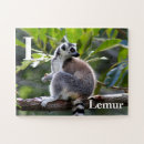 Search for madagascar puzzles Wildlife
