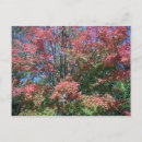 Search for bright postcards Girl
