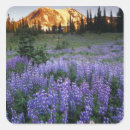 Search for alpine stickers Scenic