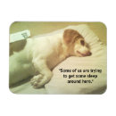 Search for 3x4 photo magnets Beagle
