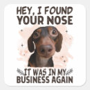 Search for nose stickers Cool