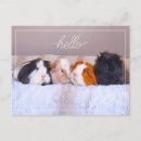 Search for gray red postcards Cute