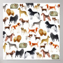 Search for pedigree art Mammal