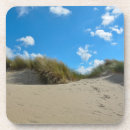 Search for dune coasters Grass