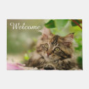 Search for cat doormats Kitten