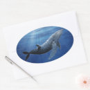 Search for humpback whale stickers Marine life