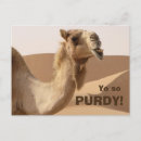 Search for good looking postcards Humour