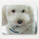Search for animal collar mousepads Domestic animals