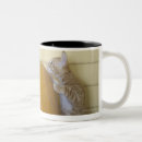 Search for three quarter length mugs Outdoors