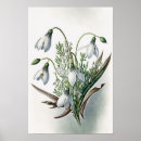 Search for snowdrop art White flowers