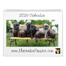 Search for mastiff office supplies Puppies