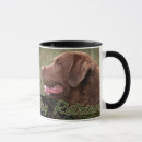 Search for chesapeake bay retriever mugs Hunting