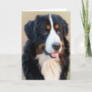 Search for bernese cards Dogs