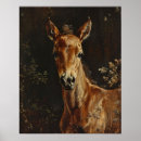 Search for newborn the posters Cute