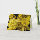 Search for daffodils mothers day cards Mum