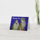 Search for quakers cards Parrot