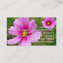 Search for cosmos photography Pink