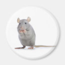 Search for isolate magnets Cute