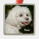 Search for maltipoo christmas tree decorations Animal