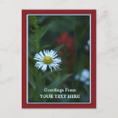 Search for border vertical postcards Photography