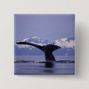 Search for inside passage accessories North america