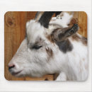 Search for goats electronics Cute goat