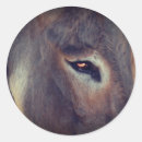 Search for donkeys stickers Farm