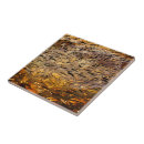 Search for closeup tiles Abstract