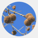 Search for pod stickers Blue