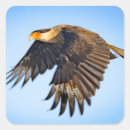 Search for flight stickers Wildlife