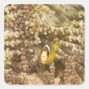Search for wild animal print stickers Animals in the wild