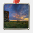 Search for skies christmas tree decorations Sky