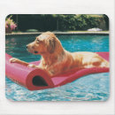 Search for golden retriever mousepads Humour